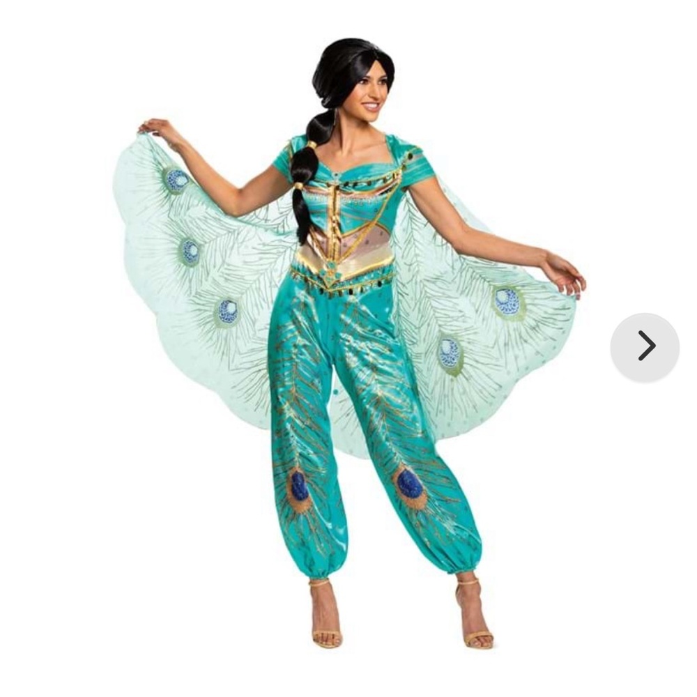 Aladdin princess Jasmine Costume woman size small
